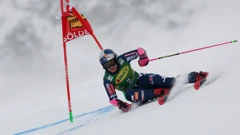 Zrinka Ljutić