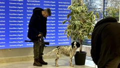 Srijeda, 18. ožujka na Prvom , Foto: Psi na zadatku /2. sezona  dokumenarne serije 