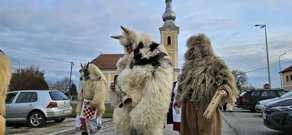 Petaračke buše, Foto: Davor Lončarić/HRT Radio Osijek