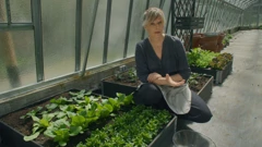 Nedjelja, 5. travnja na Prvom, Foto: Vrtlarica: Uskrs u vrtu/7. sezona emisije