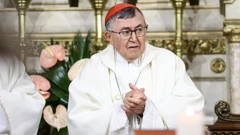 Kardinal Vinko Puljić