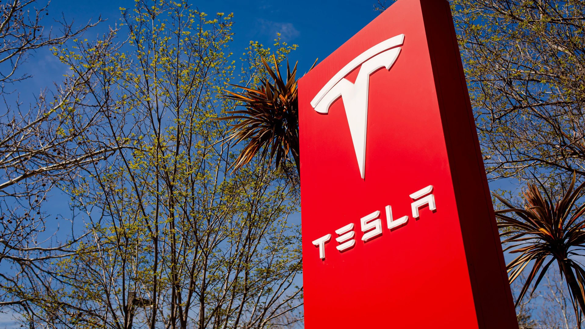 Tesla najavljuje tisuću novih radnih mjesta u Njemačkoj