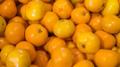 Mandarina