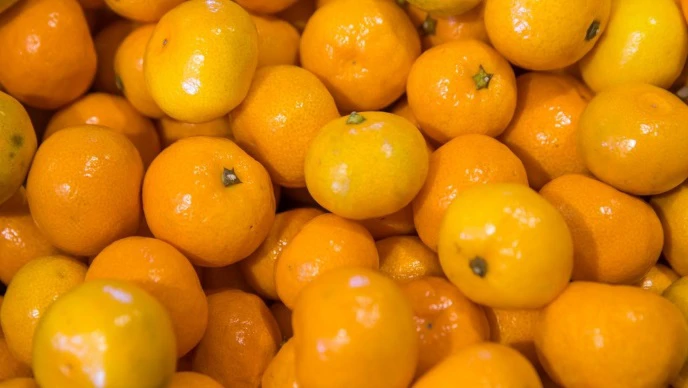 Dolina Neretve dobija Centar za agrume