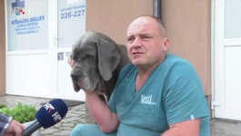 Hrvoje Mužević