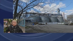 Elizabeta Gojan uživo iz Odese