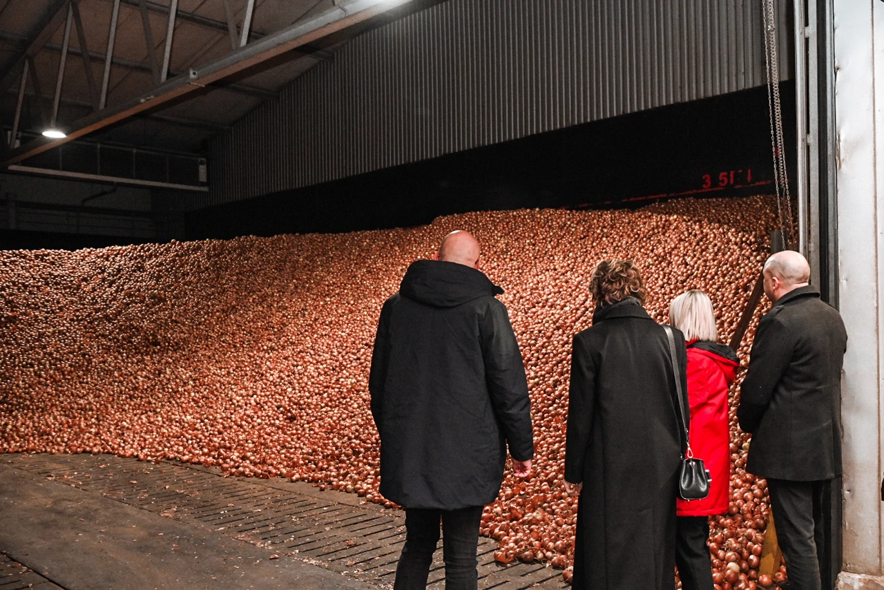 Specijalizirano skladište povrća u Lipovcu, Foto: Podravka Agri/Radio Osijek