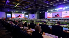 G20