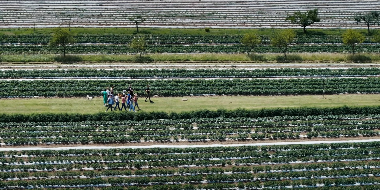 Ponedjeljak, 11. studenog na Prvom 