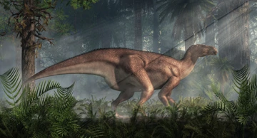 Iguanodon