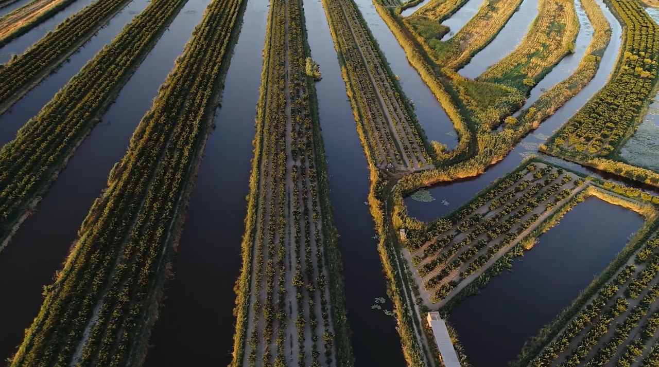 Utorak, 4. veljače na Prvom, Foto:  Oči sokolove: Delta Neretve/dokumentarna serija