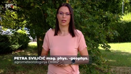 Petra Sviličić