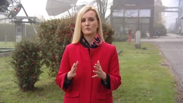 Ivana Čavlina Tomašević