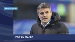 Zoran Mamić