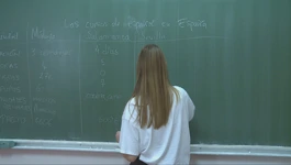Reforma strukovnog obrazovanja