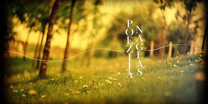 Poezija naglas