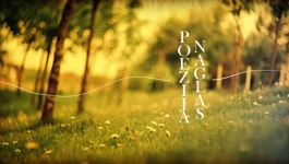 Poezija naglas