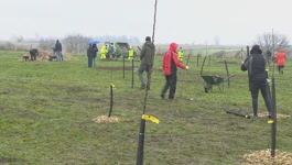 Čakovec dobio 'šumu hrane': Ekološki raj s voćem i biljem na rubu grada
