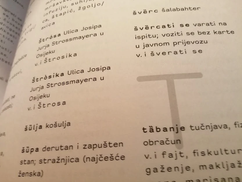 „Osječki gradski govor. Jezične dumine Osječana” , Foto: TM/Radio Osijek
