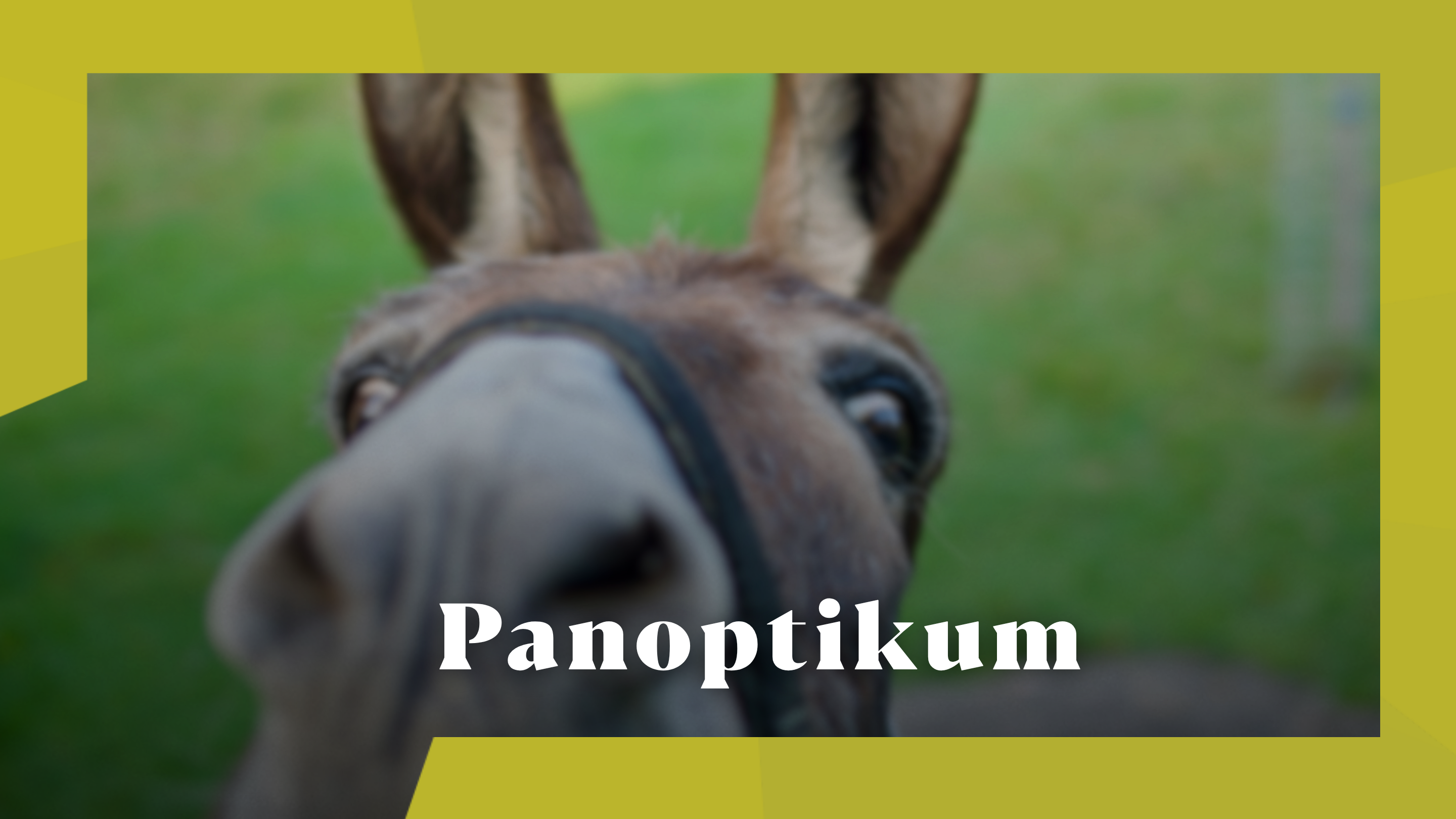 Panoptikum