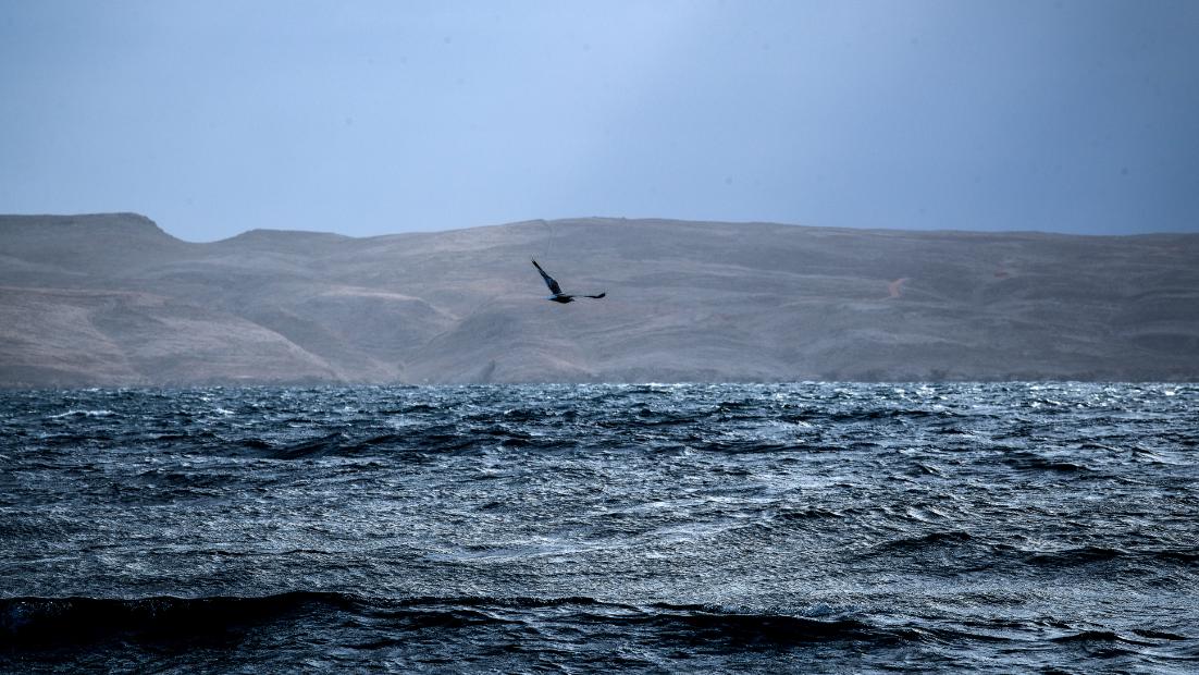 velebit30326 20260330115509