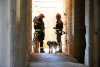 Vatrogasni timovi iz cijele zemlje održavaju redovitu vježbu potrage i spašavanja, Foto: Sasa Miljevic/PIXSELL