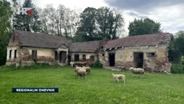 Napušteno selo