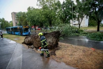 Zagreb, Foto:  Zeljko Lukunic /Pixsell