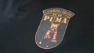 Okupljanje veterana 7. gardijske brigade Pume i specijalne jedinice Rode