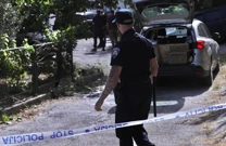 Podmetnuo požar, bježao od policije pa izazvao prometnu nesreću, Foto: Ivo Cagalj /PIXSELL