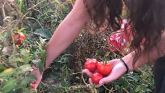 Već osam godina u jednom od gradskih vrtova, na površini od 50 kvadrata, Vesna Žužul uzgaja povrće za sebe i svoju obitelj.