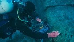 Štuka, Foto: Igor Goić/MCPA