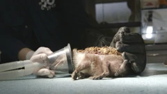 Subota, 21. ožujka na Prvom , Foto: Divlja ZOOna/dokumentarna serija 