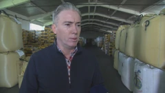 Sjemena na tržištu ima dovoljno, Foto: HTV/HRT