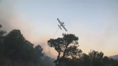 Požar kod Zatona, Foto: HTV/HRT