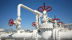 Plin ekološki prihvatljiva energija