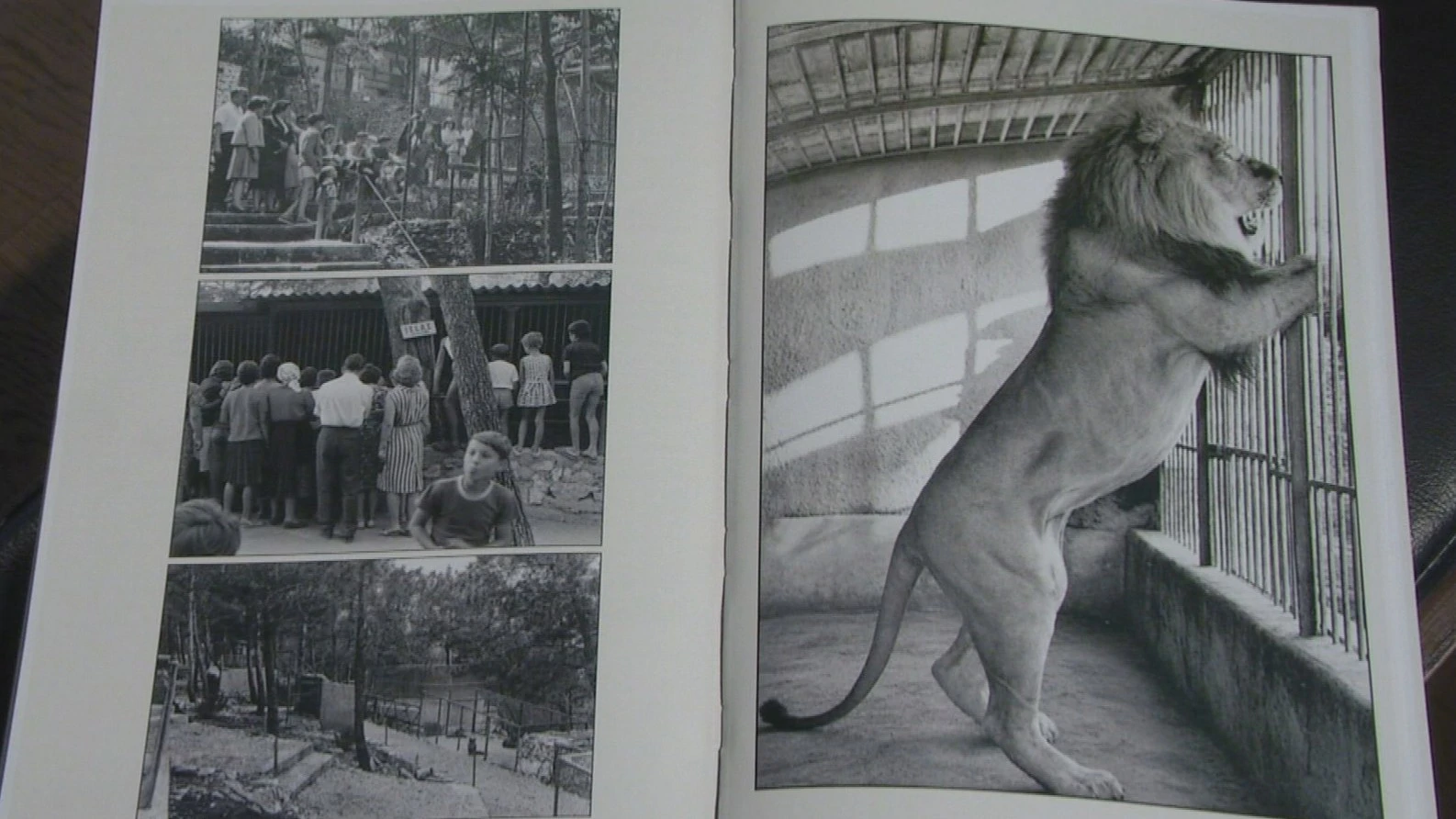 Prva knjiga o splitskom ZOO