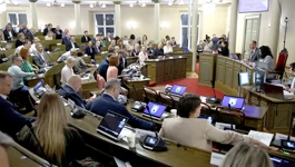 Skupštinska sjednica 