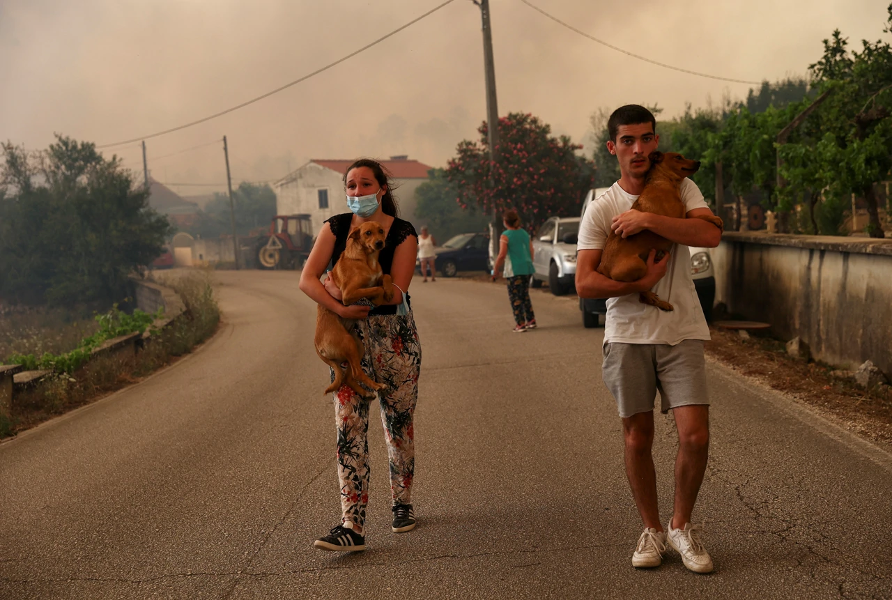 Požari u Portugalu, Foto: Rodrigo Antunes/Reuters