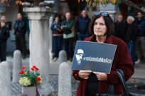 Novo Mesto, Foto:  Borut Zivulovic/PIXSELL / F.A. Bobo 