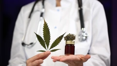 Medicinska marihuana -  ilustracija