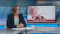 Vanja Dominović, voditeljica odjela za financijske institucije HGK
