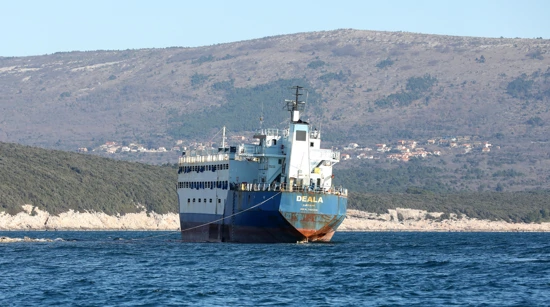 The Deala cargo ship
