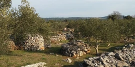 Pogled na Stari Grad, Foto: Foto: Tatjana Rau/Glas Hrvatske/-