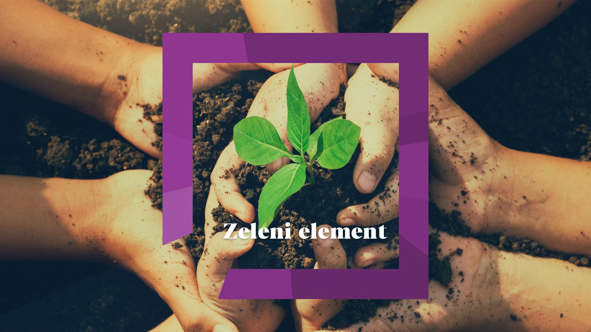 Zeleni element