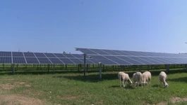 U Ivancu se gradi jedna od prvih agrosolarnih elektrana u Hrvatskoj 