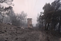 Tučepi: Posljedice katastrofalnog požara  , Foto: Ivo Cagalj/Pixsell
