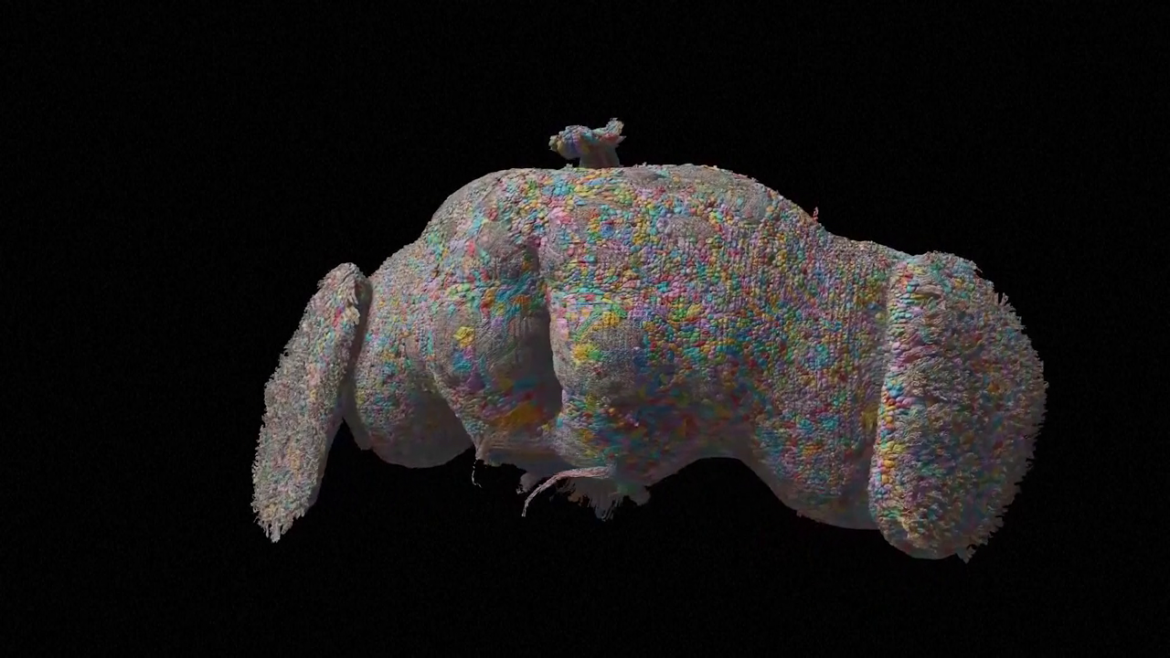 Mozak vinske mušice