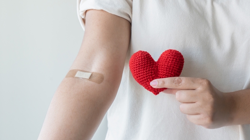 Anerkennungsurkunden für freiwillige Blutspender 1 shutterstock 2150212281 20251025105553