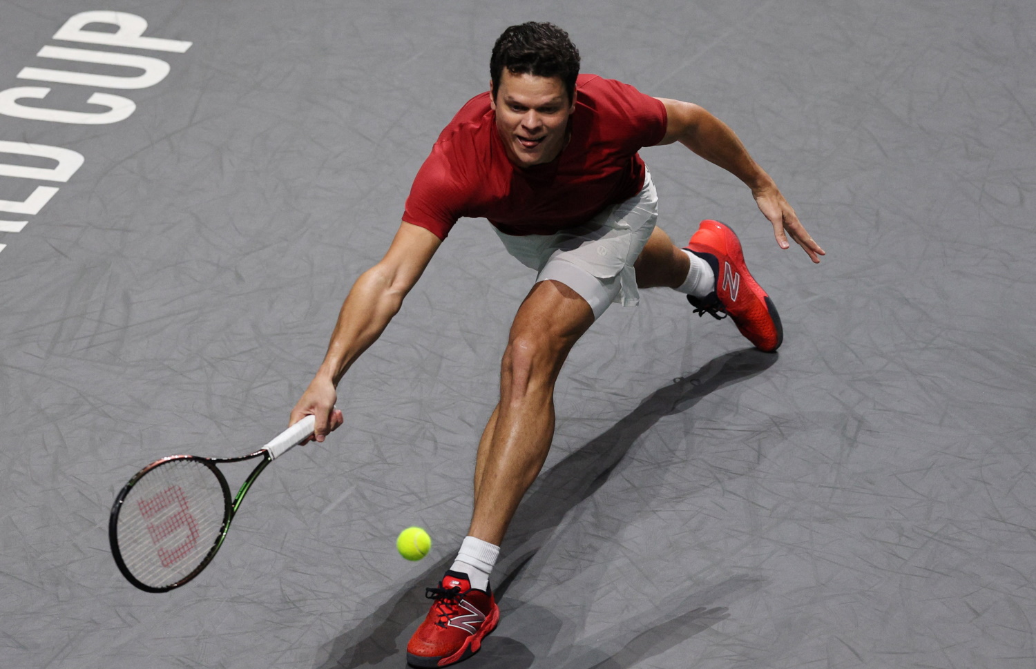 raonic milos 20231121172621